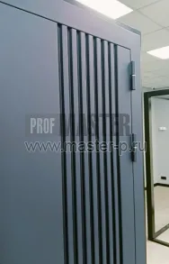 Входная дверь Стальная рейка | Фото 25820