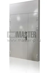 Тамбурная дверь 2500мм | Фото 25865