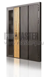 Уличная дверь Паз