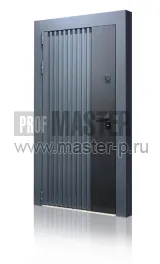 Уличная дверь Тим 2х цветная