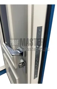 Уличная дверь Роза Ф | Фото 26336