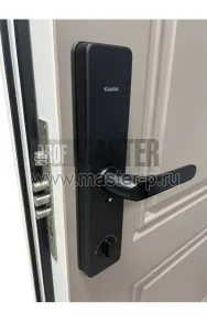 Входная дверь Каадас Ф | Фото 26351