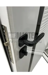 Входная дверь Беладор Ф | Фото 26363