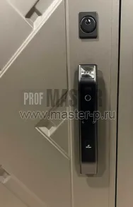 Входная дверь Оптимус H Био | Фото 26531