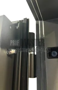 Входная дверь Оптимус H Био | Фото 26537