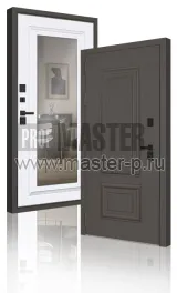 Уличная дверь AD-Бакленд Z