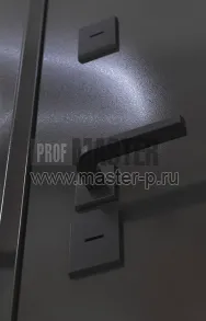 Уличная дверь BN-Своп Z 10 | Фото 27227