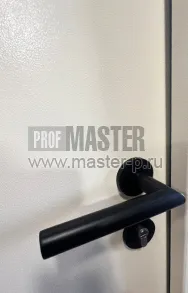 Стальная  дверь 3сс | Фото 27233