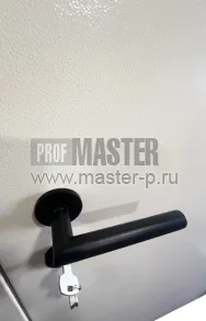 Стальная  дверь 3сс | Фото 27236