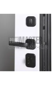 AD-Форест Z | Фото 27290