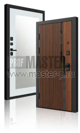 TD-Профессор Z