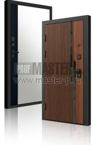 TD-Профессор Z | Фото 27608