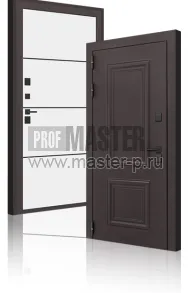 Уличная дверь LB-Антарктика | Фото 27674