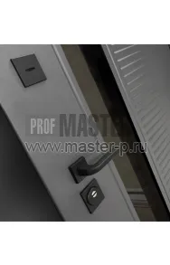 Уличная дверь LB-Оксли 7024 | Фото 27860