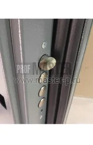 IN-Фазатрон Z