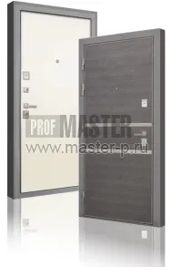 IN-Саинс | Фото 28331