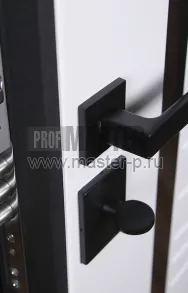 Стальная дверь «Аша» 3D (адаптивная замковая часть) | Фото 28556