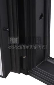 Стальная дверь «Аша» 3D (адаптивная замковая часть) | Фото 28571