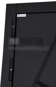 Стальная дверь «Аша» 3D (адаптивная замковая часть) | Фото 28562