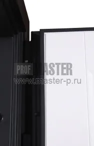 AD-Иммон Z | Фото 28778