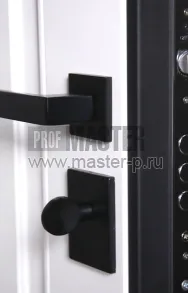 AD-Иммон Био Z | Фото 28853