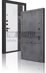 Входная дверь Лофт Z LBU | Фото 28956