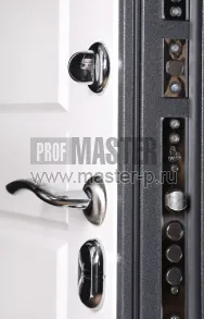 Уличная дверь AD-Воркута | Фото 28986