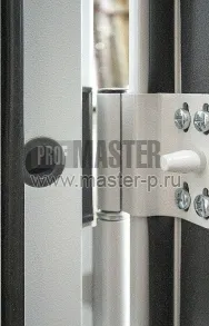 Дверь металлическая огнестойкая ДП-1 BR EI60 | Фото 29007