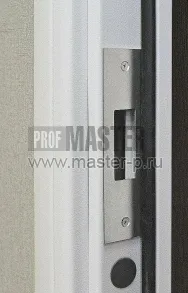 Дверь металлическая огнестойкая ДП-1 BR EI60 | Фото 29013