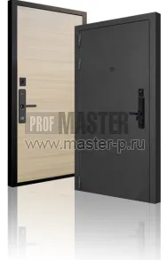 Входная дверь Сона Био | Фото 29067