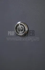 Входная утепленная дверь BG-90 | Фото 29100