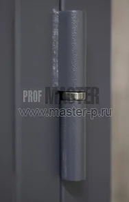 Входная утепленная дверь BG-90 | Фото 29106