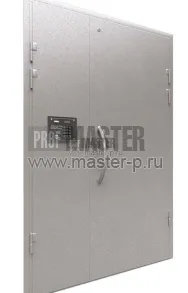 Подъездная дверь Техник 9 | Фото 1778