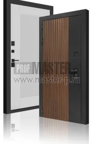 Уличная дверь LBU-Сноуранд Z | Фото 30388