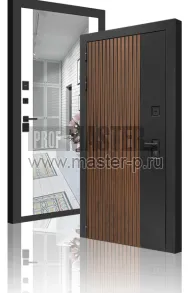 Уличная дверь LBU-Сноуранд Z | Фото 30394