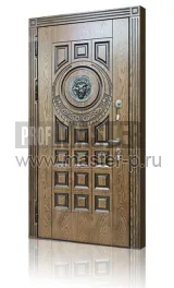 Уличная дверь Сириус KL