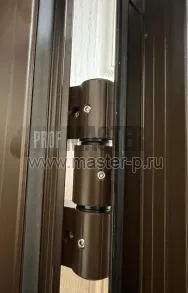 Входная дверь 8с | Фото 30965