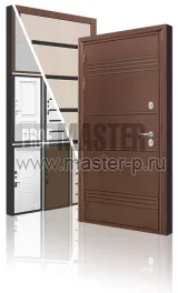 Уличная дверь LB-Райз