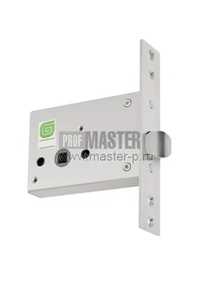 Защелка Гардиан